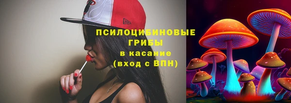 молекула духа Баксан