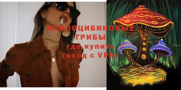 дмт Семилуки