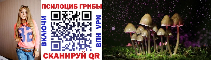 Псилоцибиновые грибы прущие грибы  Купить где  Бор 