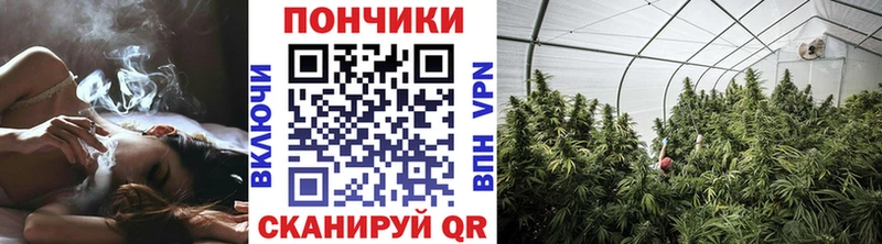 Шишки марихуана план Бор